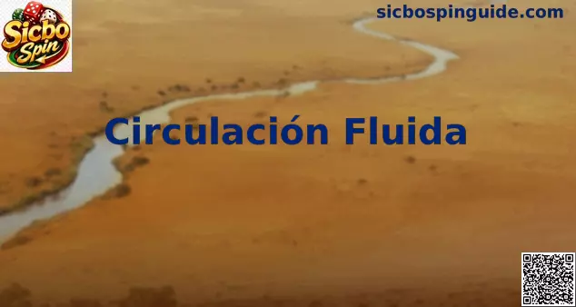 Circulación Fluida Sicbo Spin
