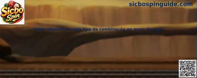 Tipos de combinaciones en mesa de Sicbo Spin